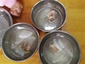 人气：442  上传时间：2020/11/20 7:10:07