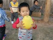 人气：509  上传时间：2020/11/20 7:13:34