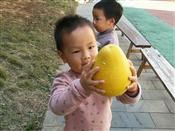 人气：535  上传时间：2020/11/20 7:13:35