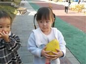 人气：527  上传时间：2020/11/20 7:13:36