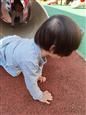 人气：434  上传时间：2020/11/20 11:10:41