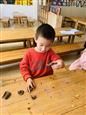 人气：343  上传时间：2020/11/20 12:33:30