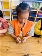 人气：433  上传时间：2020/11/20 12:33:45