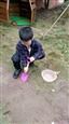 人气：424  上传时间：2020/11/20 12:38:18