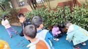 人气：368  上传时间：2020/11/20 12:38:22