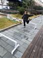 人气：423  上传时间：2020/11/27 16:32:51