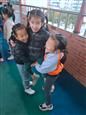 人气：365  上传时间：2020/11/27 11:58:33