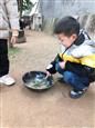 人气：450  上传时间：2020/12/10 17:21:00