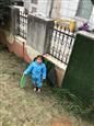人气：407  上传时间：2020/12/11 14:59:37