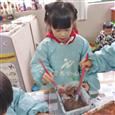 人气：445  上传时间：2020/12/18 17:00:28
