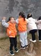 人气：512  上传时间：2020/12/18 18:37:25