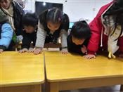 人气：521  上传时间：2020/12/21 16:42:32