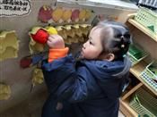 人气：431  上传时间：2020/12/25 16:00:48
