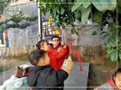 人气：455  上传时间：2020/12/31 16:17:42