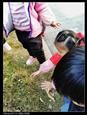 人气：410  上传时间：2021/1/8 12:49:31