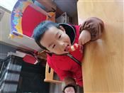 人气：411  上传时间：2021/1/14 13:02:04