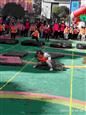 人气：418  上传时间：2021/1/15 10:32:45