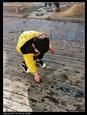 人气：445  上传时间：2021/1/22 15:27:18