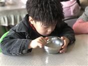 人气：484  上传时间：2021/1/22 9:10:19