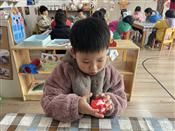 人气：457  上传时间：2021/1/29 13:19:51