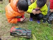 人气：429  上传时间：2021/2/28 13:56:07