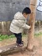 人气：381  上传时间：2021/3/3 13:04:49