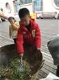人气：441  上传时间：2021/3/5 15:26:53