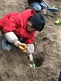 人气：401  上传时间：2021/3/5 8:35:06