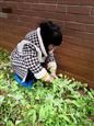 人气：442  上传时间：2021/3/10 16:01:06