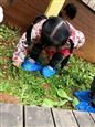 人气：470  上传时间：2021/3/10 16:01:11
