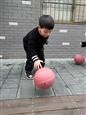 人气：432  上传时间：2021/3/10 16:03:24