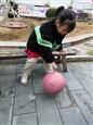 人气：411  上传时间：2021/3/10 16:03:26