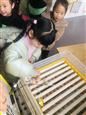 人气：420  上传时间：2021/3/12 14:11:01