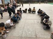 人气：397  上传时间：2021/3/12 15:21:33