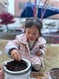 人气：355  上传时间：2021/3/12 7:58:56