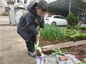 人气：417  上传时间：2021/3/15 14:29:24