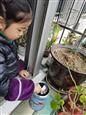 人气：383  上传时间：2021/3/15 14:30:21