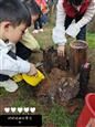 人气：380  上传时间：2021/3/19 13:31:05