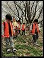 人气：395  上传时间：2021/3/23 16:23:02