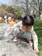 人气：489  上传时间：2021/3/23 17:10:05