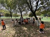 人气：398  上传时间：2021/3/24 16:04:38