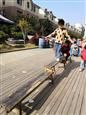 人气：494  上传时间：2021/3/25 13:54:23