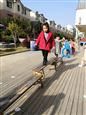 人气：475  上传时间：2021/3/25 13:54:26