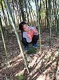 人气：417  上传时间：2021/3/25 16:00:39