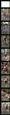 人气：448  上传时间：2021/3/25 16:05:52