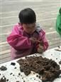 人气：427  上传时间：2021/4/1 12:07:37