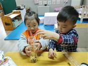 人气：505  上传时间：2021/4/2 14:03:35