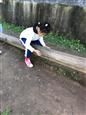 人气：388  上传时间：2021/4/15 13:15:12