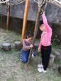 人气：363  上传时间：2021/4/15 13:15:46