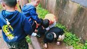 人气：457  上传时间：2021/4/15 10:06:33
